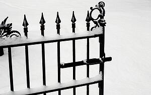 Iron gate covered in snow