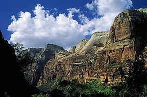 Zion National Park, Utah, USA; Navajo Sandstone