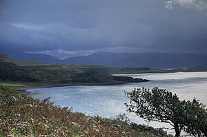 Mull, Scottish Highlands, Scotland, United Kingdom; Coastline in front of a rolling landscape