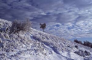 Derbyshire, England, United Kingdom; Snow covered hillside