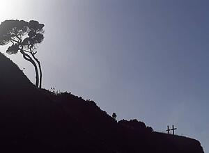 Two crosses downhill from a windswept tree