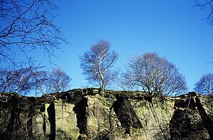 Derbyshire, England, United Kingdom; Trees atop a cliff