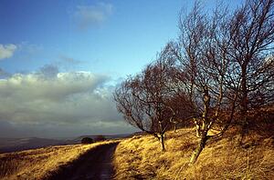 Derbyshire, England, United Kingdom; Path through a national park