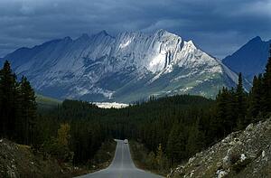 Canada; The Canadian Rockies and forest