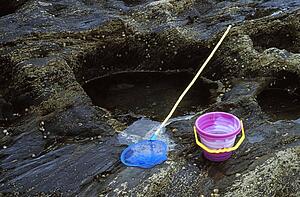 Cornwall, England, United Kingdom; Bucket and net beside a rockpool