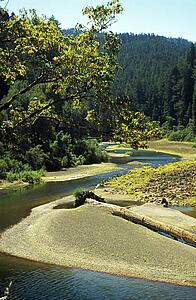 Eureka, California, USA; River running though a forest
