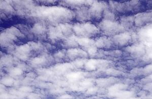 Cloudscape