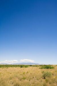 New Mexico, USA; Desert landscape with the Manzano Mountains in the background