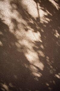 Tree shadow on a stucco wall