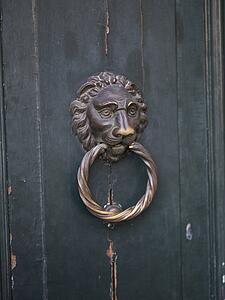 Door knocker