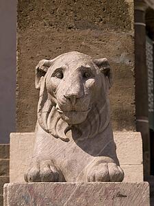 Lion statue, Naples, Italy