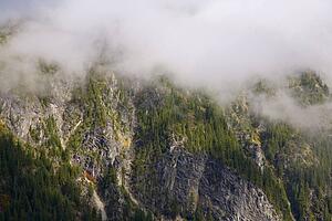 Stevens Pass, Mt. Rainier National Park, Washington, USA