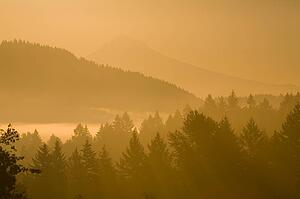 Mount Hood, Oregon, USA; Silhouetted landscape at sunrise