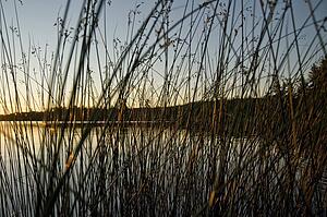 Lake of the Woods, Ontario, Canada