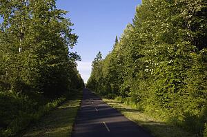 Well-maintained country road, lined with trees