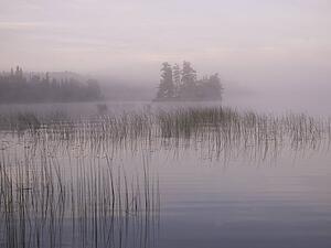 Lake of the Woods, Ontario, Canada; Mist rises over lake