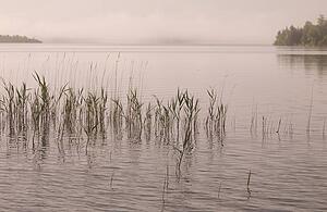 Lake of the Woods, Ontario, Canada; Early morning view over the lake