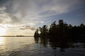 Lake of the Woods, Ontario, Canada; View of woods next to a lake