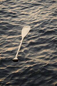 Lake of the Woods, Ontario, Canada; Abandoned paddle floating on water