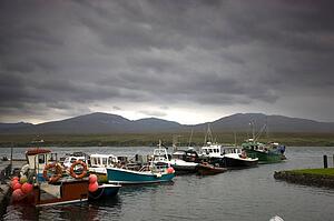 Islay, Scotland; Row of boats at a jetty
