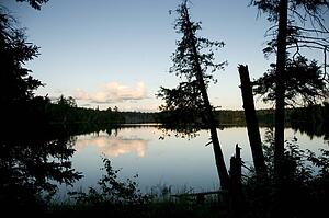 Lake of the Woods, Ontario, Canada; View through trees to lake