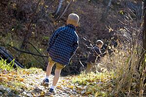 Rear view of boys hiking