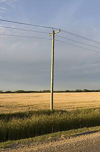 Telephone pole, Manitoba, Canada