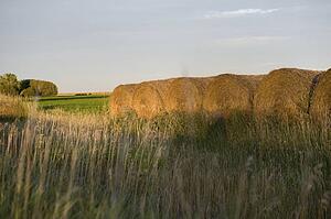 Hay bales, Manitoba, Canada