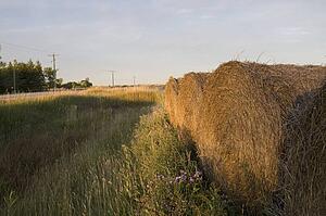 Hay bales, Manitoba, Canada