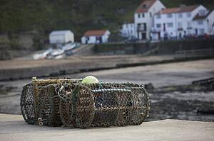 Lobster traps