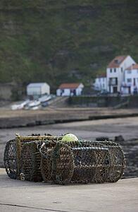 Lobster traps