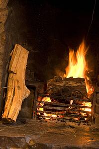 Wood burning fireplace
