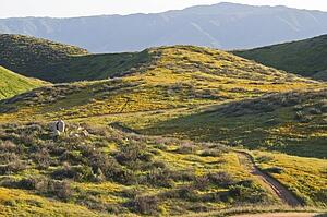California landscape, USA