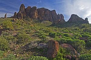 Lost Dutchman State Park, Arizona, USA 