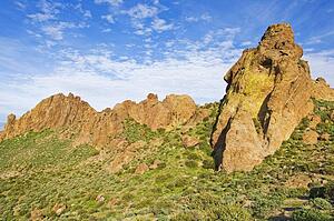 Lost Dutchman State Park, Arizona, USA 