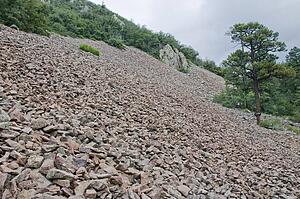 Rock slide, Chiricahua Mountains, Arizona, USA