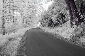 Road along West fork of San Gabriel River, California, USA 