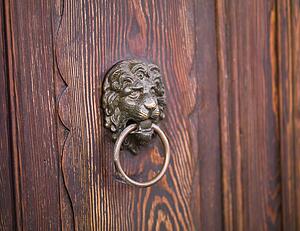 Lion door knocker