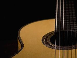 Close-up of an acoustic guitar