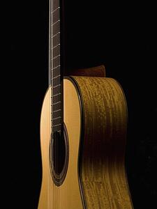 Acoustic guitar