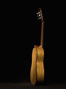 Acoustic guitar