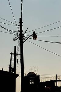 Mexico; Power lines