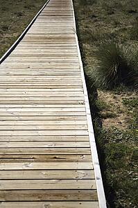 Wooden boardwalk