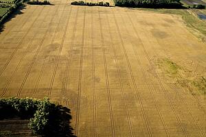 Aerial view of field with crop