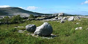 The Burren, Co Clare, Ireland; Landscape at the Rockgarden