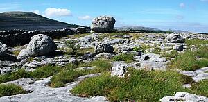 The Burren, Co Clare, Ireland; Landscape at the Rockgarden