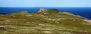 Malin Head, Co Donegal, Ireland; People walking through bog cotton