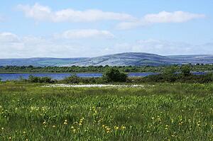 Co Clare, Ireland; At the foot of the Burren