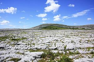 Rock Garden, The Burren, Co Clare, Ireland; View of rock landscape