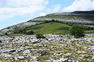 Rock Garden, The Burren, Co Clare, Ireland; View of rock landscape